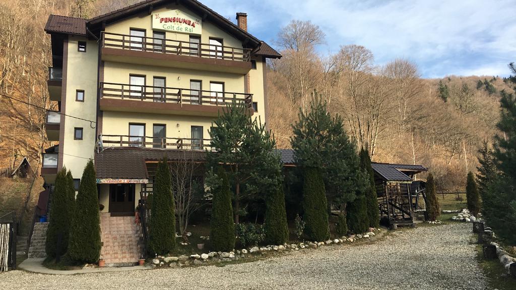 Vila Colt De Rai Hotel Rîşnov Buitenkant foto